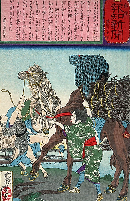No. 472. A child of ten shows her wisdom by covering the head of a rearing horse with her jacket to calm him.